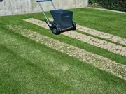 sm